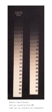 strip01.jpg