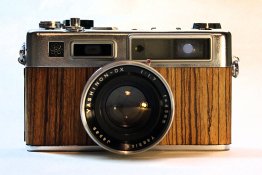woodskin.jpg