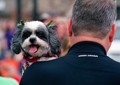 20131224-01 Pro400H FFTn 36.jpg