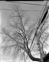 wollensak 108 Scan-140225-0001.jpg