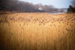 untitled-17.jpg