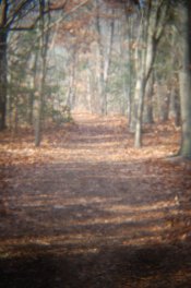 untitled-40.jpg