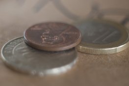 Macro (1 of 3).jpg