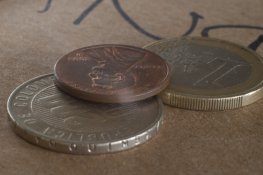 Macro (2 of 3).jpg