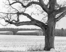 comparison-FP4+at64-DDX1to4-6minR-2400-04.jpg
