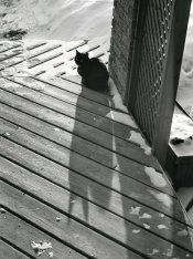 leila_leica001.jpg