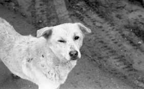img005.jpg