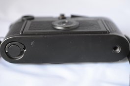 DSC_5172.jpg
