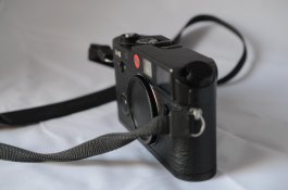 DSC_5176.jpg