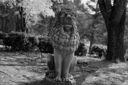 Screen Shot 2014-03-17 at 2.08.56 PM.png