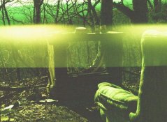 unnamed (2).jpg