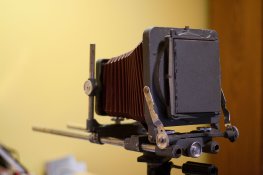 backassembly-1-6.jpg backassembly-1-6.jpg