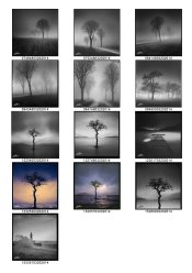 Lightroom (07484803202014.tif and 12 others).jpg