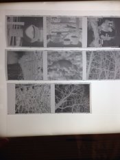 ImageUploadedByTapatalk1395964476.471497.jpg ImageUploadedByTapatalk1395964476.471497.jpg