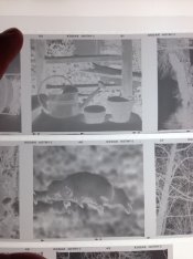 ImageUploadedByTapatalk1395964490.419959.jpg ImageUploadedByTapatalk1395964490.419959.jpg