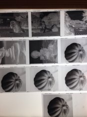 ImageUploadedByTapatalk1395964574.620172.jpg ImageUploadedByTapatalk1395964574.620172.jpg