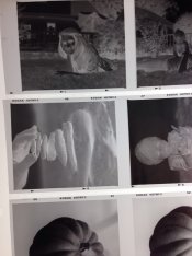 ImageUploadedByTapatalk1395964584.338375.jpg ImageUploadedByTapatalk1395964584.338375.jpg