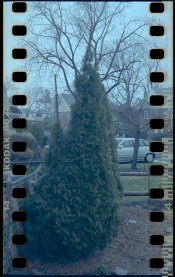 Untitled-5.jpg