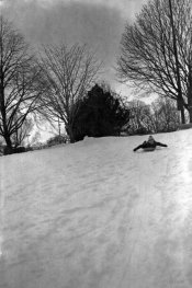 sled.jpg