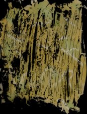 pollock.jpg pollock.jpg