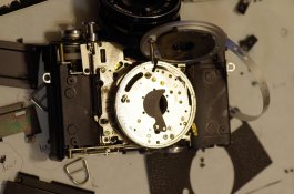 ricoh full.jpg