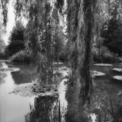 Sally_Gall-Giverny-Willows-1989.jpg Sally_Gall-Giverny-Willows-1989.jpg