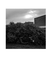 funkar-kanske-fyrkant-1.jpg