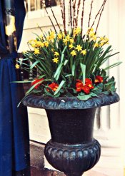 flowers & pot.jpg