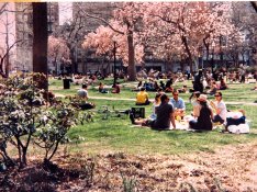 Ritt Sq.JPG