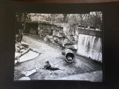 photo (8).jpg