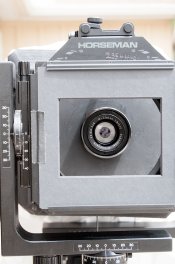 8x10-#6.jpg