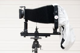8x10-#7.jpg