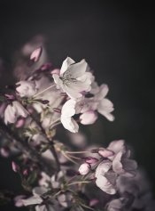 CZJ_50_2.8_test-1-3.jpg