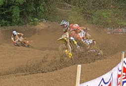 budds'05.JPG
