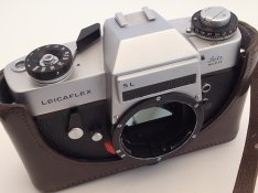 R1104582.JPG