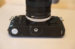 IMG_9433.jpg