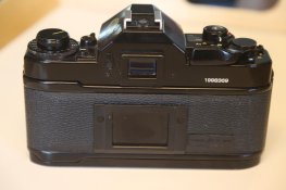 IMG_9437.jpg