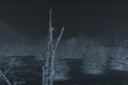 AA012.jpg