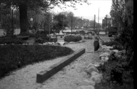 14-31006.jpg
