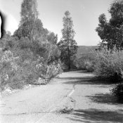 old 395.jpg