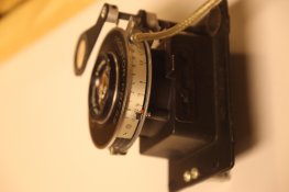 IMG_9265.jpg