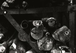 5336_5_6005.jpg 5336_5_6005.jpg