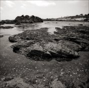 Point Lobos Rolleiwide IlfordPanF HC-110dilH 8min 22C 30secAg2x 2013-04 VSmac 9000 Scan-130914-0.jpg