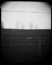 Fence2498.jpg