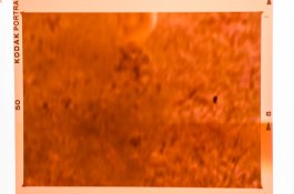 untitled-1.jpg untitled-1.jpg