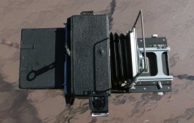 crown111.jpg crown111.jpg