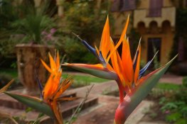 2014-Menton-T4-11-M.jpg