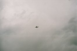 13730012.jpg