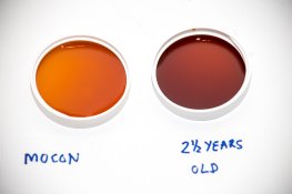 Mocon @ 18 & 30 months approx.jpg