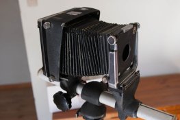 IMG_8747.jpg